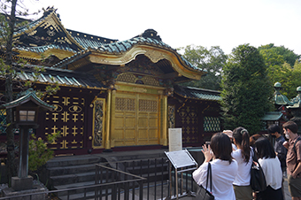 Walking around the Ueno area