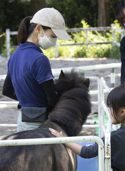 馬とふれあう会