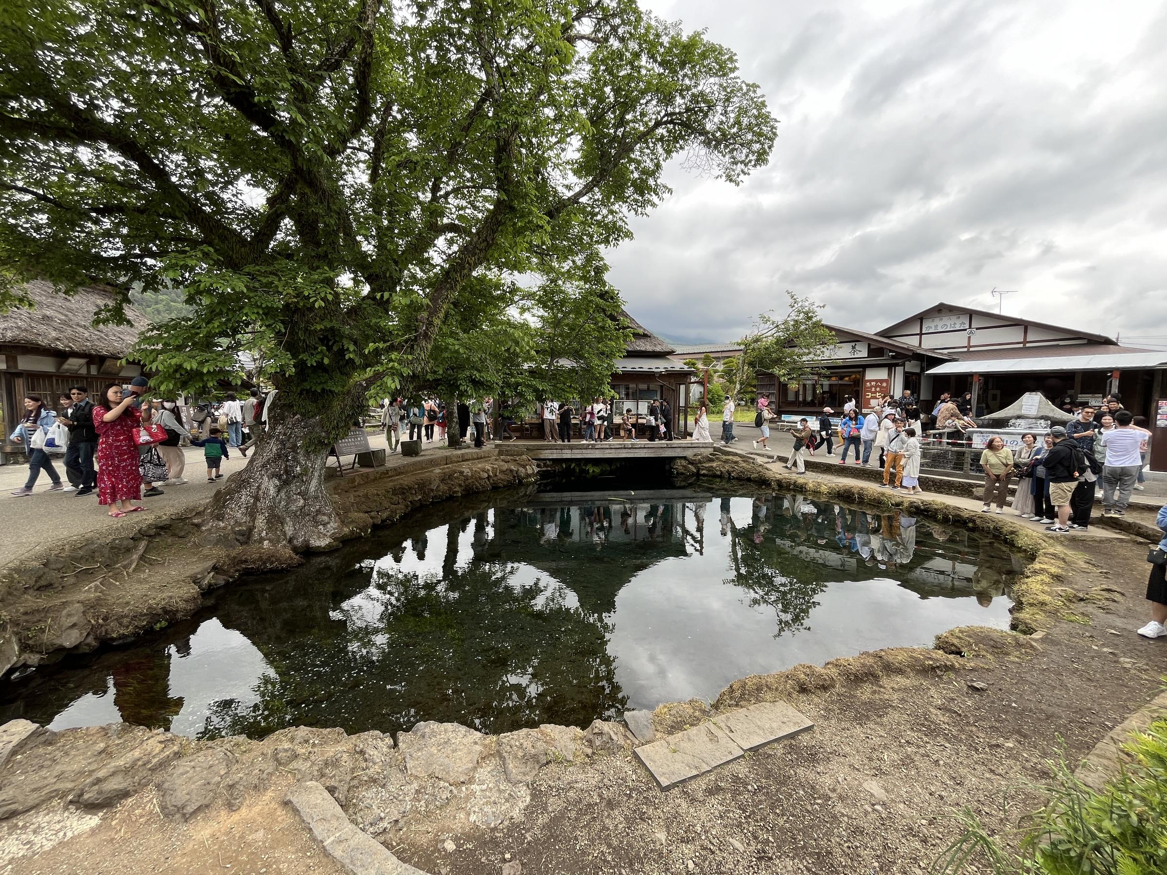 留学生日帰りバス旅行（忍野八海）